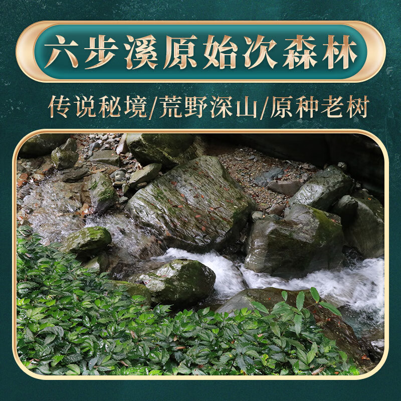 Little Senior Sister Reviews Tea Baishaxi Hunan Anhua Black Tea Royal Brook Lubu Tinglan Liubu Xi Bailiang Tea Anhua Black Tea Lubu Tinglan Tea Cake 200g