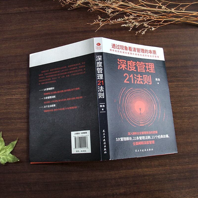 21 Rules of Deep Management (Business and Company Management Books, Management Psychology) Management Science