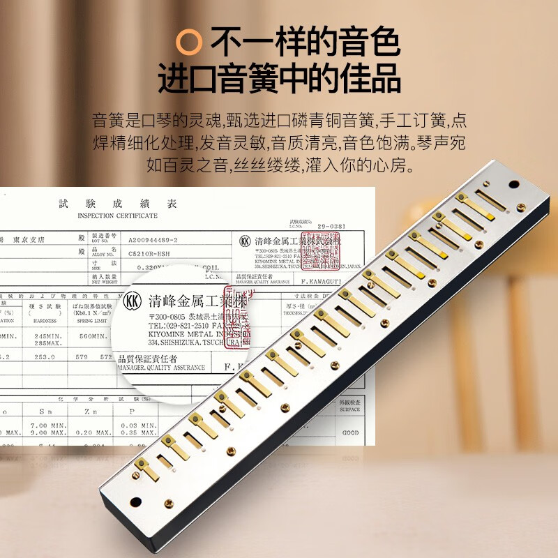Swan (SWAN) imported gongs 28-hole professional harmonica advanced adult children's musical instrument school season gift 28-hole C polyphony professional performance level