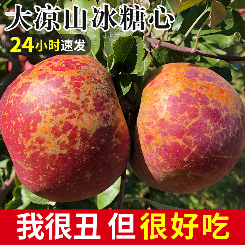 Ugly Apple Fruit Fresh 10 Jin Daliangshan Yanyuan Apple Seasonal Whole Box Pregnant Women Rock Candy Heart Authentic Red Fuji 3 Jin (Bag Fruit) 70-75mm (Not Included) Medium Fruit Affordable Pack