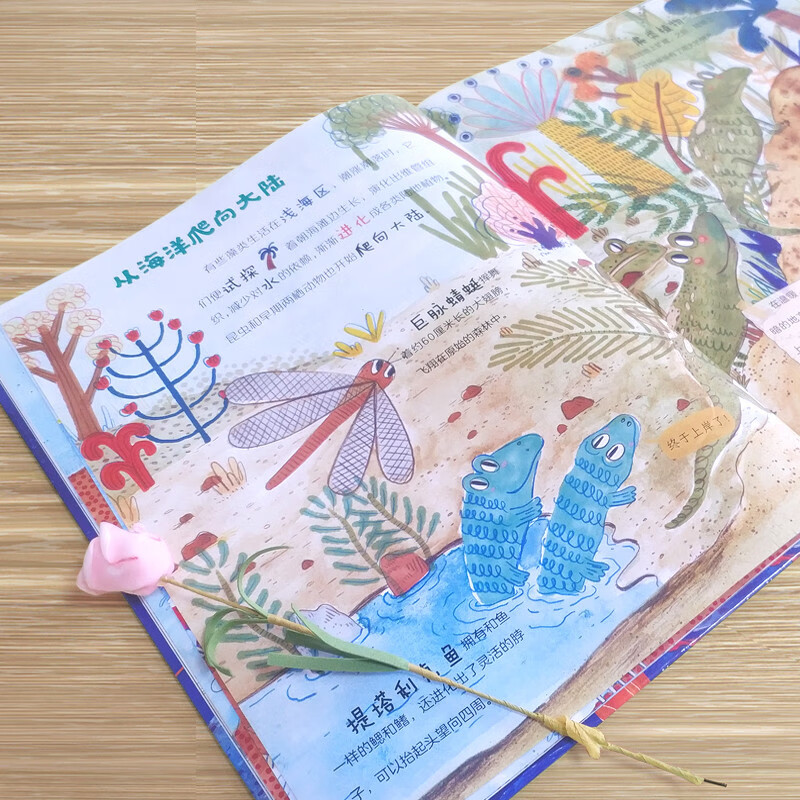 Science Picture Book on the Origin of Life, Incredible Evolution Story