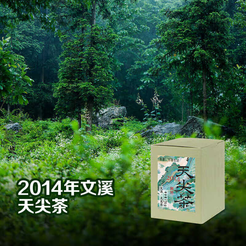 Little Senior Sister Tea Review 2014 Wenxi Tianjian Tea 75g Anhua Dark Tea Standard