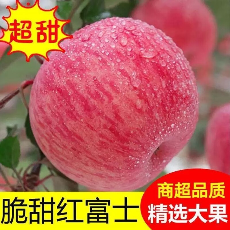 Erdie Shaanxi Red Fuji Apple Fresh Fruit 10 Jin Rock Candy Heart Seasonal Ugly Apple Seasonal Fruit Crisp Sweet Whole Box Selected 9 Jin Pack Net Weight 8.5 Jin 75-80mm