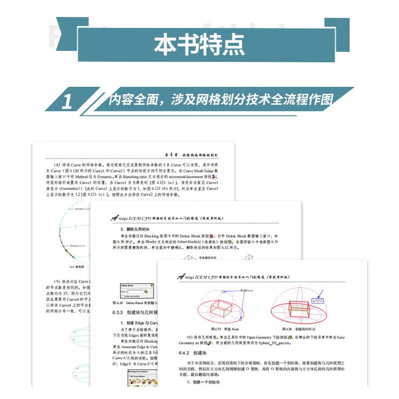 Ansys ICEM CFD meshing technology from entry to proficiency (practical case version) ansys icem cfd entry cfd analysis cae analysis