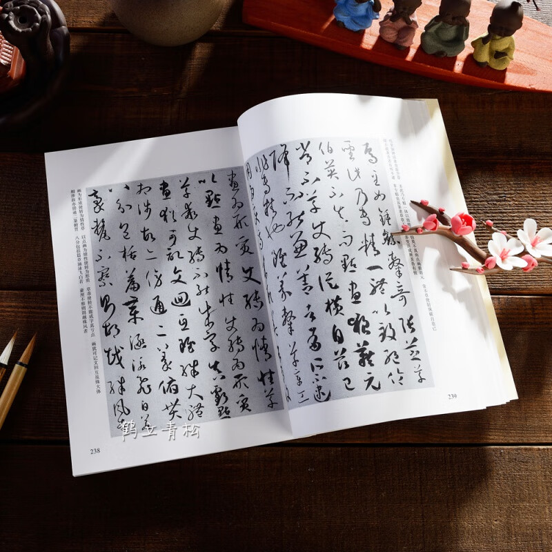 Ready stock available soon. Tang Sun Guoting calligraphy analysis and picture-text mutual support. Chinese calligraphy theory research series of ancient Chinese bookstores. Calligraphy research and art theory. Sun Guoting's calligraphy analysis book.