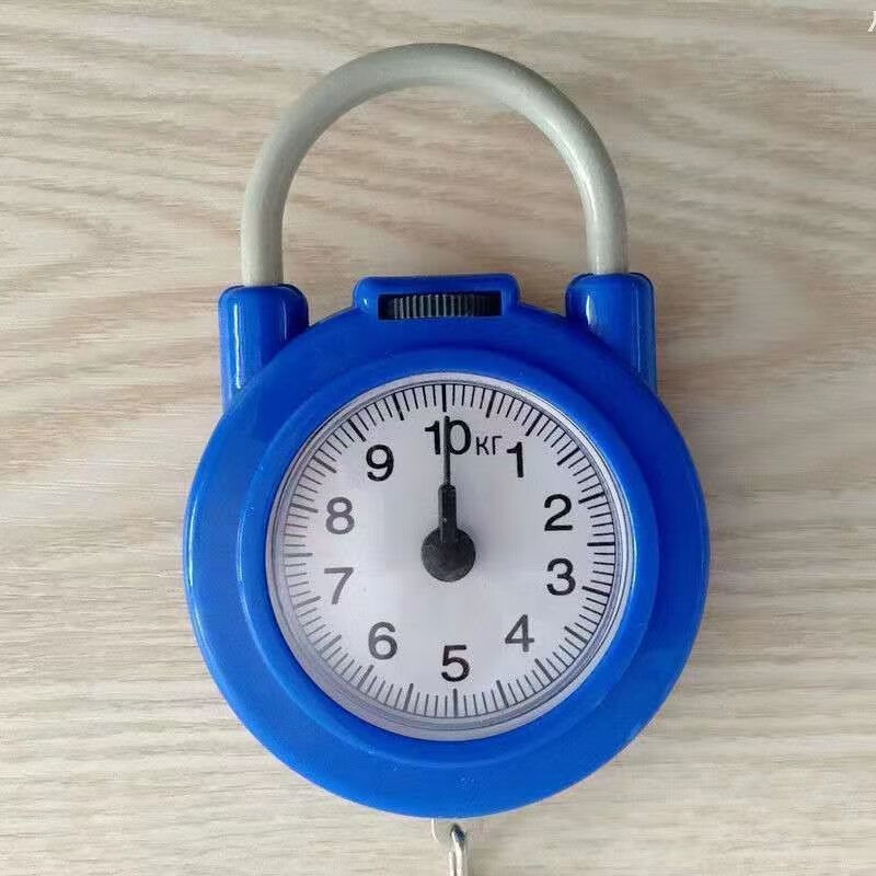 Yongcai Spring Scale Portable High-Precision Household Mechanical Weighing 10kg Mini Electronic Scale Luggage Express Kitchen Spring Scale - Blue + 1 Pack