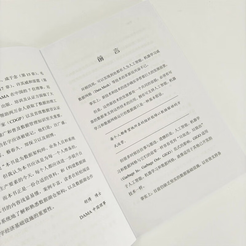 Data Lake Warehouse (produced by Asynchronous Books)