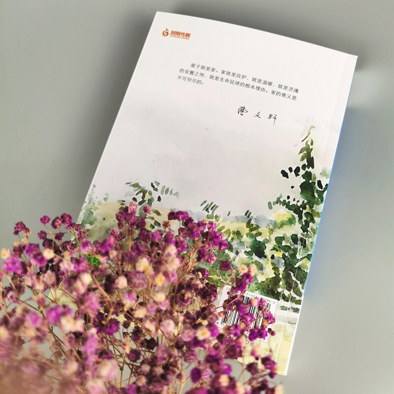 Cao Wenxuan's pure and beautiful novel Cherry Village/International Andersen Award winner Cao Wenxuan's new full-length masterpiece, a tear-jerking family story accumulated over many years, inspires children to cherish family affection, be kind and upright.