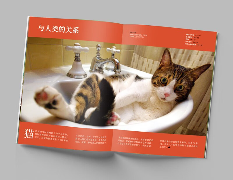 National Geographic Illustrated Encyclopedia of Everything (Volume 1: Animals and Plants) (Set of 6 volumes))