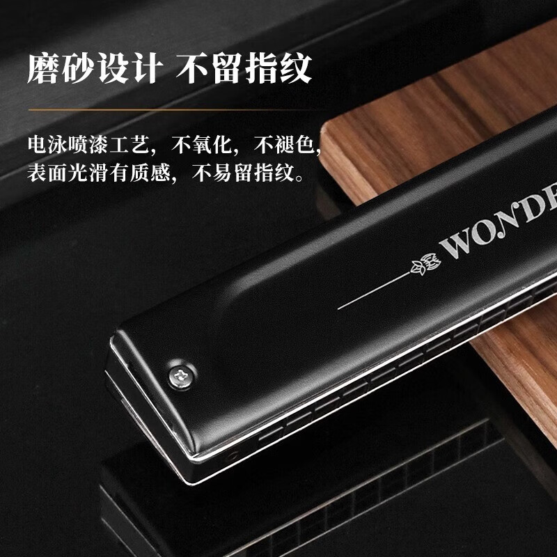 Swan German imported gongs Swan harmonica adult polyphonic accent C key high-end professional performance instrument 24-hole polyphonic C key high-end adult performance