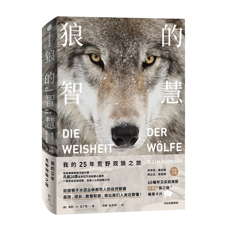 Recommended by Fan Deng: The Wisdom of Wolves, My 25-Year Journey to Observe Wolves in the Wilderness (Xinsi Library), CITIC Publishing House’s recommended popular science books