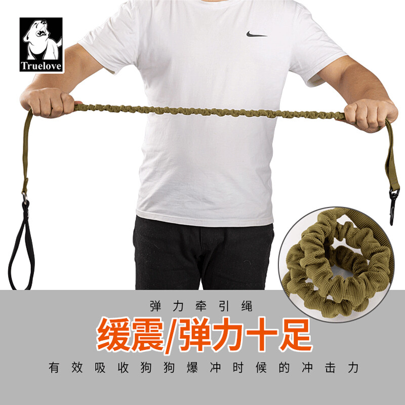 TRUELOVE pet dog leash explosion-proof Okinawa golden retriever dog chain golden retriever large dog buffer elastic rope TLL2281 purple size L (width 2.5cm, length 120-160cm)