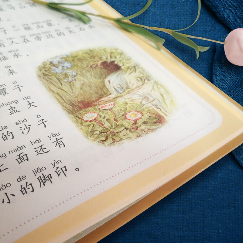 The Story of Peter Rabbit (Children's Phonetic Picture Book) Extracurricular Reading Reading Extracurricular Books