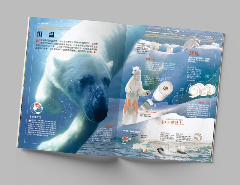 National Geographic Illustrated Encyclopedia of Everything (Volume 1: Animals and Plants) (Set of 6 volumes))