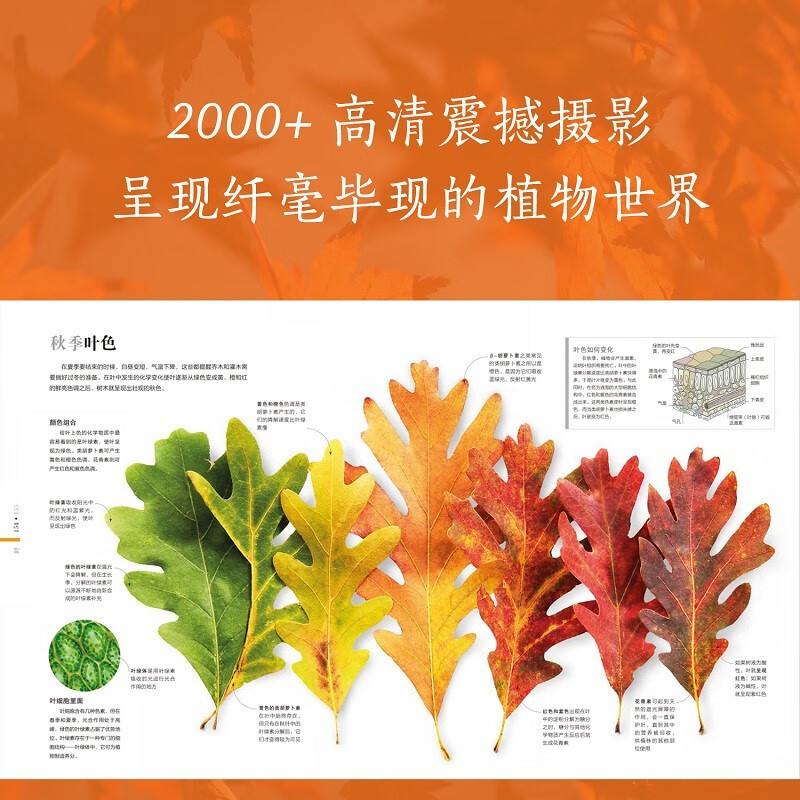 DK Plant Encyclopedia (New Edition) Collection-level Plant Atlas Explore Plant Secrets JD.com Self-operated Genuine