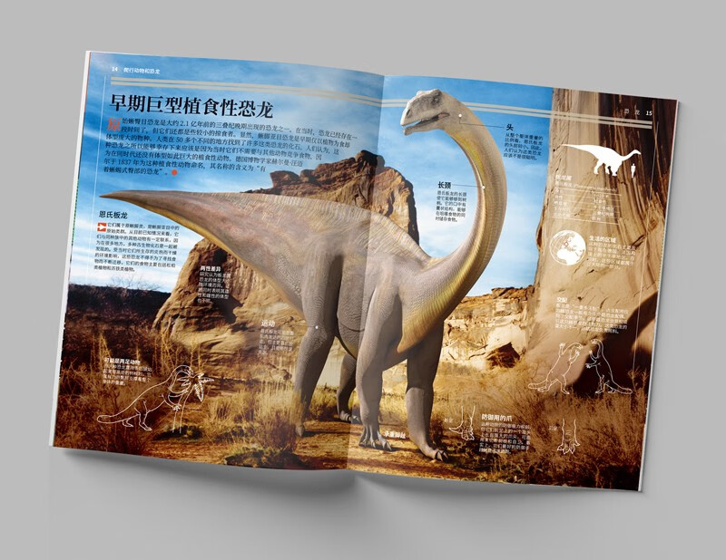 National Geographic Illustrated Encyclopedia of Everything (Volume 1: Animals and Plants) (Set of 6 volumes))