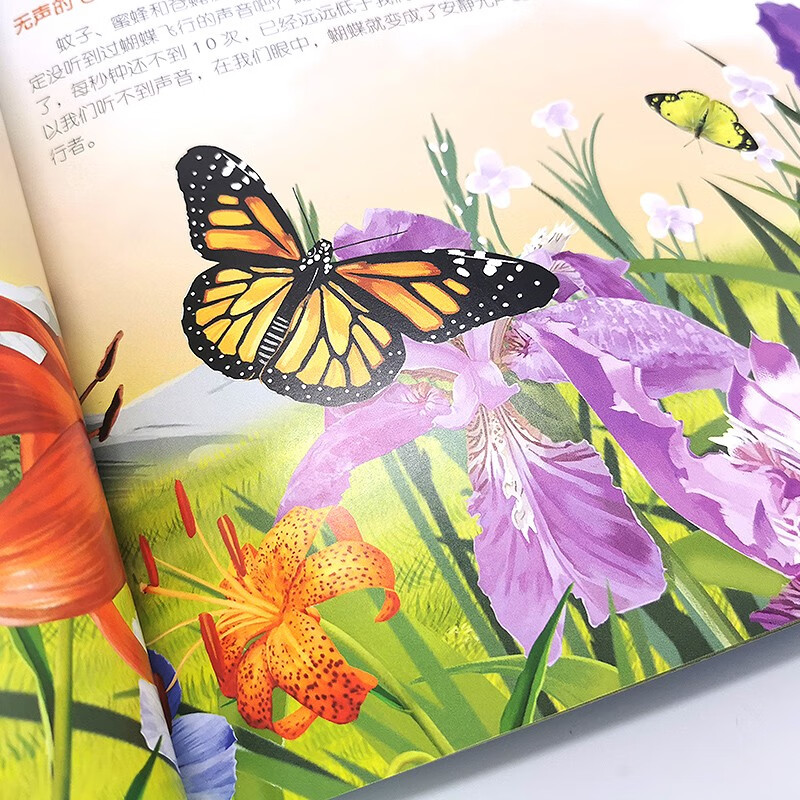 3-6 years old, Children’s Eyes on the World Science Museum, Summer Homework in the World of Insects, summer transition from primary school to secondary school, summer transition from primary school to junior high school