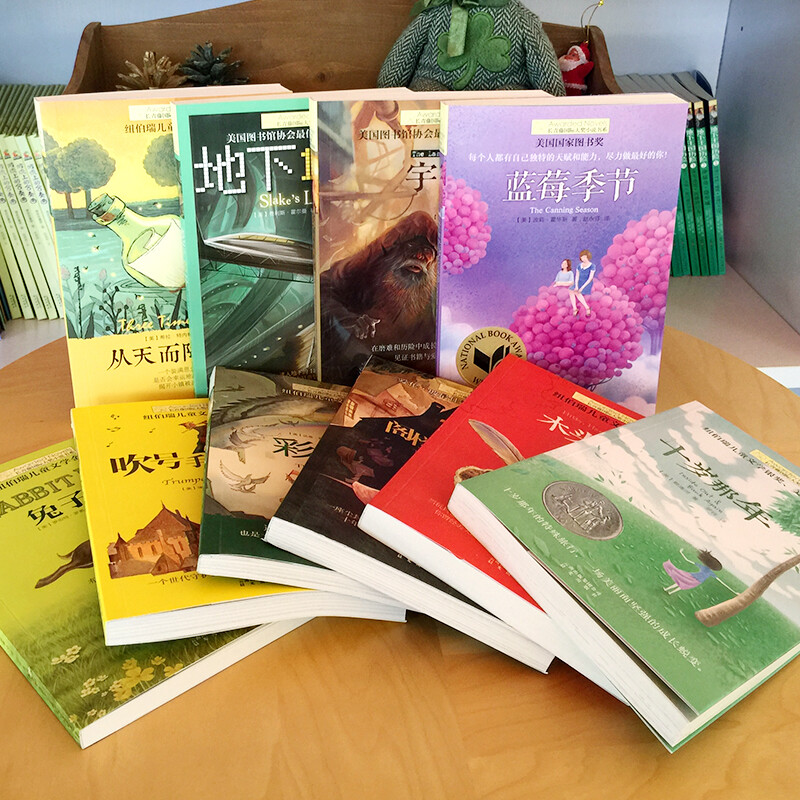 The first and second volumes of the 10-volume Ivy League International Award novel, When I Was Ten, Rabbit Slope, Rainbow Dove in the Attic, The Last Book of the Universe, etc. are must-reads for primary and secondary schools in grades 3, 4, 5, and 6. Extracurricular reading of International Children’s Literature Award classics that influence children’s lives.