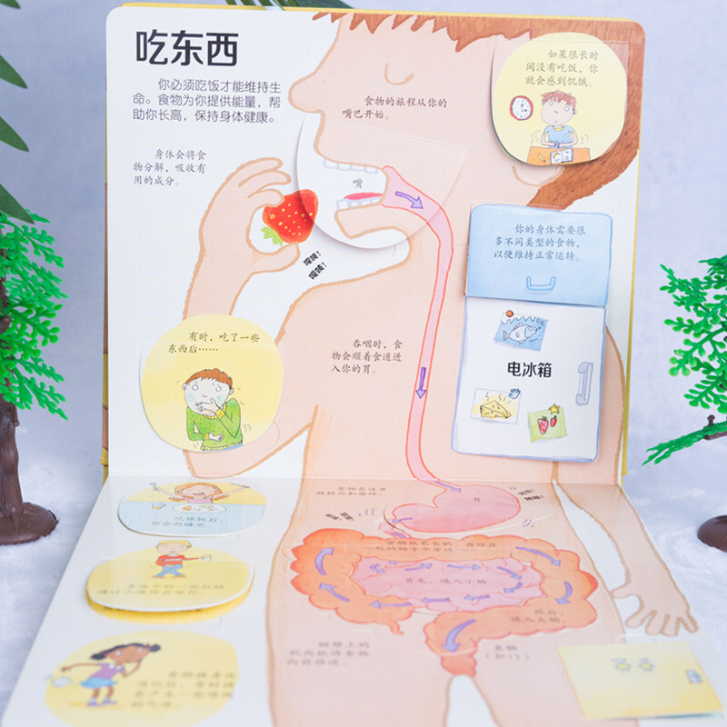 Usborne Look Inside (3-6 years old version) Revealing the Secret of the Body