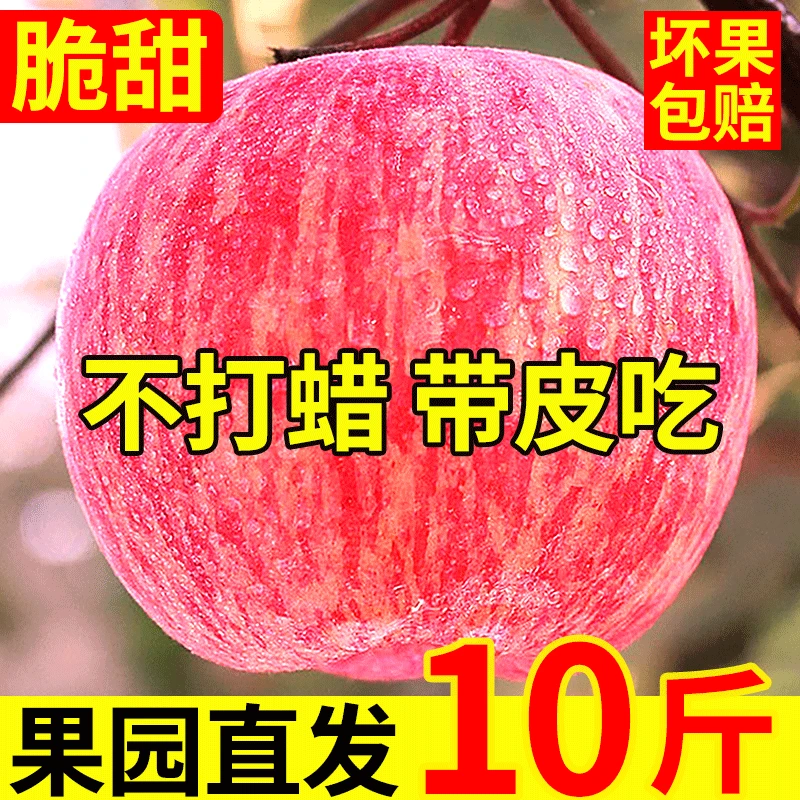 Erdie Shaanxi Red Fuji Apple Fresh Fruit 10 Jin Rock Candy Heart Seasonal Ugly Apple Seasonal Fruit Crisp Sweet Whole Box Selected 9 Jin Pack Net Weight 8.5 Jin 75-80mm