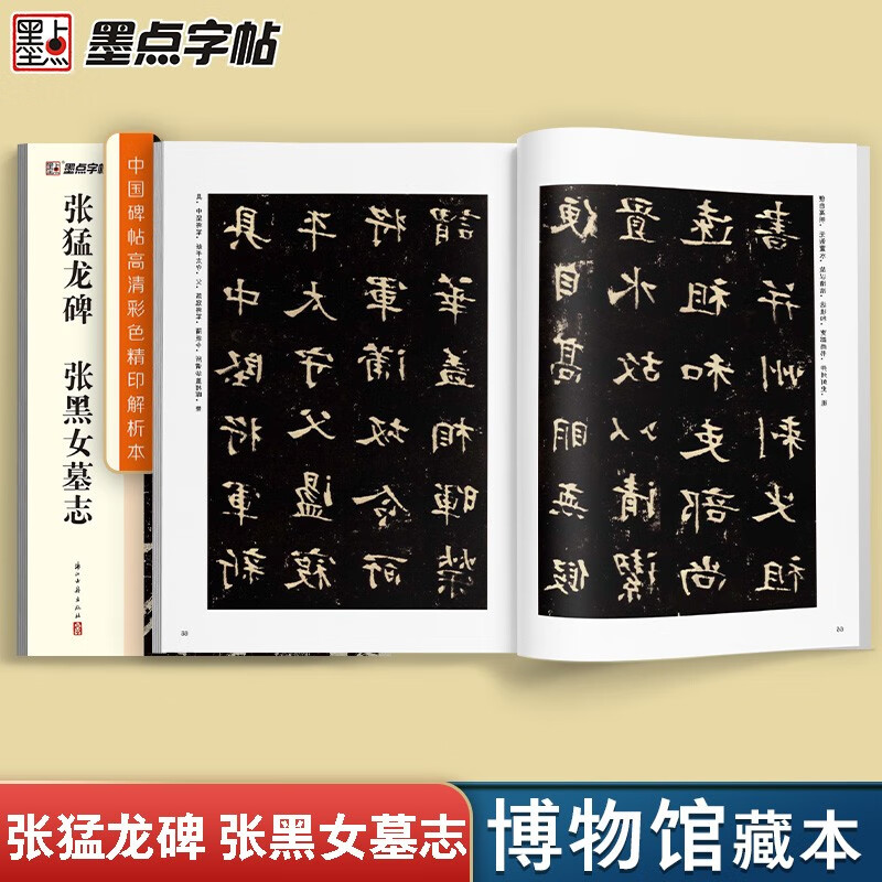 Zhang Menglong Monument Zhang Heinv’s Epitaph/Chinese Stele Inscriptions High-definition Color Printed Analysis Edition