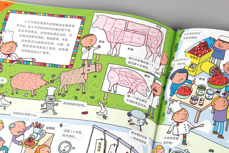 Where does food come from?