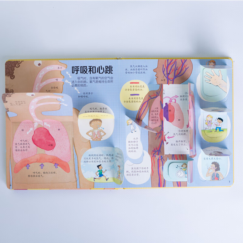 Usborne Look Inside (3-6 years old version) Revealing the Secret of the Body