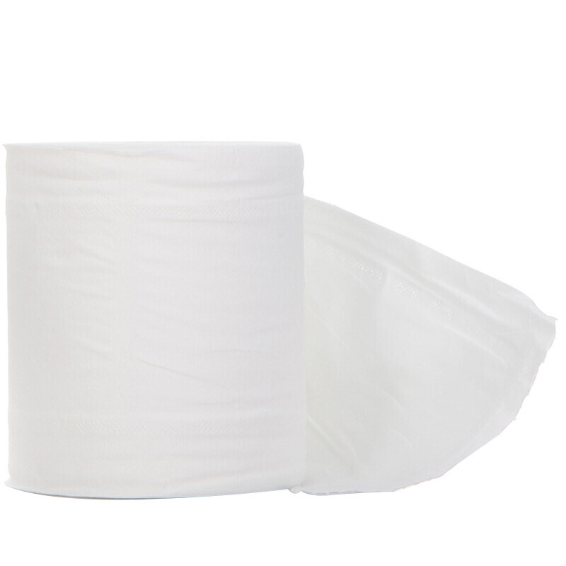 Shunqing soft coreless roll paper international version 5 layers 208g*12 rolls easy to dissolve thickened toilet paper for flushing (2.5kg/pack)