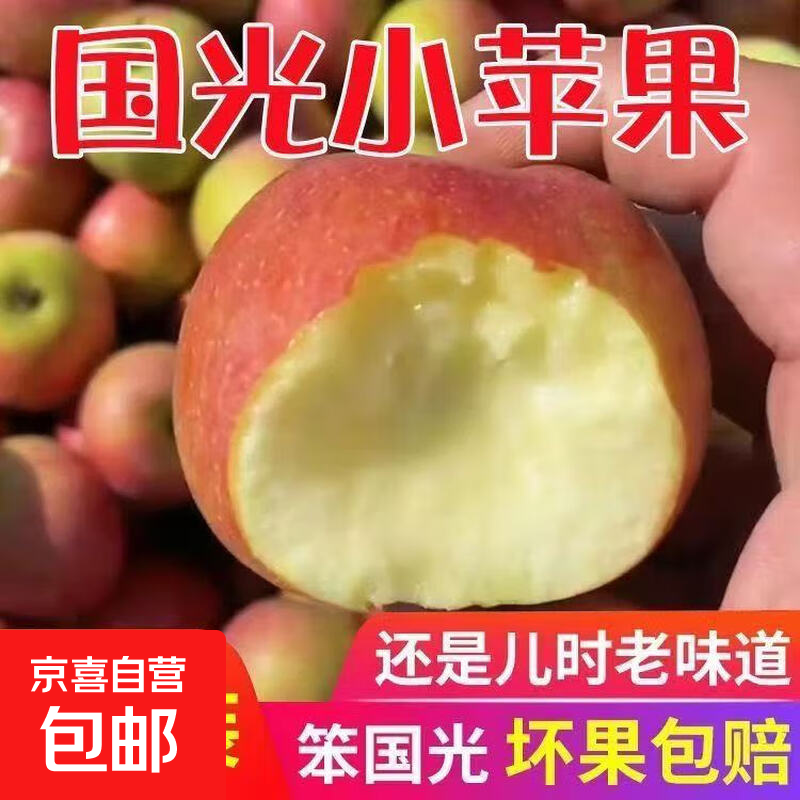 Fresh small Guoguang apples, authentic old tree Guoguang apples, sweet and sour seasonal fruits for pregnant women 5/10 jins, free shipping, 9-9.5 jins large fruits (with box)