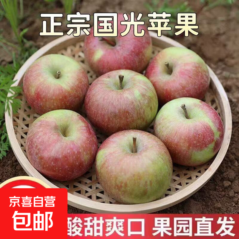 Fresh small Guoguang apple Northeastern authentic old tree Guoguang apple sour and sweet seasonal fruit for pregnant women 5 pounds of large fruit with box