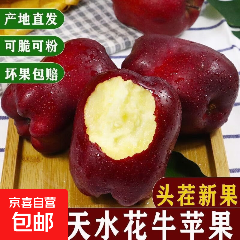 Huaniu apple origin direct delivery Gansu Tianshui Huaniu apple seasonal fresh fruit apple food supplement for the elderly and baby with box 5 catties selected large fruit 80mm