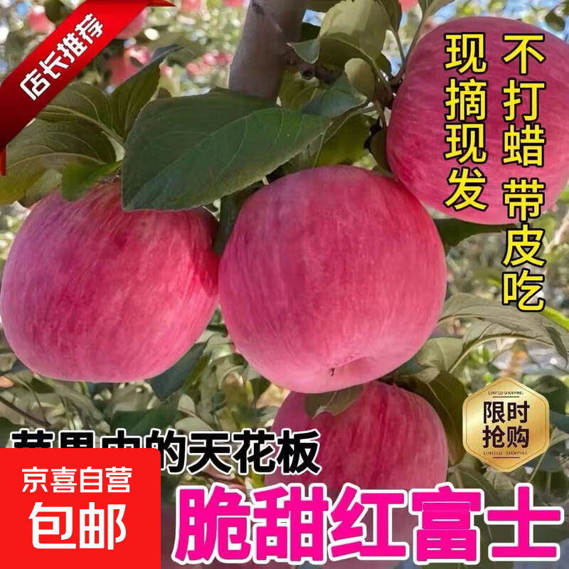 Red Fuji Apple Fresh Fruit Red Fuji Crisp Sweet Rock Candy Heart 2025 Season Full Box 10 Jin 5 Jin Free Shipping Full Box 10 Jin 80-85mm