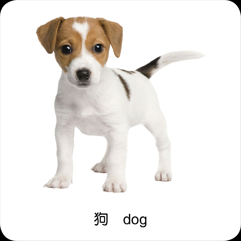 Baby Cognition Card Animal Card (two versions randomly issued) 0-3 year old infant early education color card 0-3 year old baby can not tear infant and toddler early education card scientific enlightenment baby cognitive knowledge card infant and toddler enlightenment book cognitive card