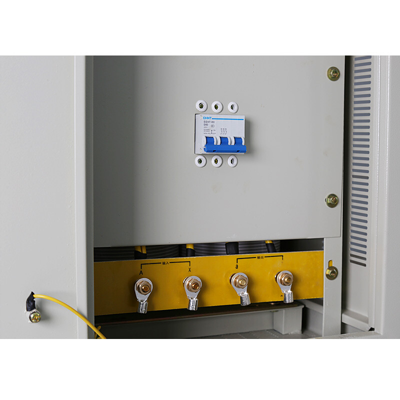 Chint (CHNT) Chint Voltage Stabilizer Household Appliances Power Supply Stabilizer Single-Phase Automatic AC Voltage Stabilizer 30000W