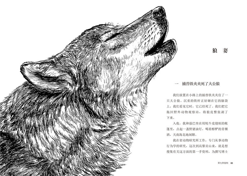 The seventh hunting dog, new edition, animal novel king Shen Shixi's collection of books, first, second and third grade extracurricular reading books, children's story books, genuine books