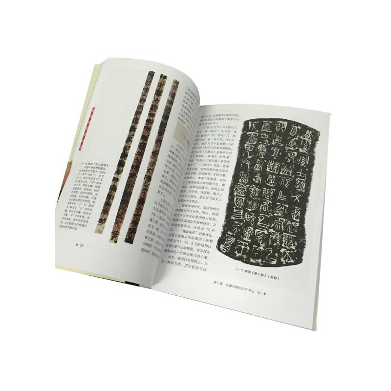 Minimalist History of Chinese Calligraphy won the 2014 Chinese Good Book Award
