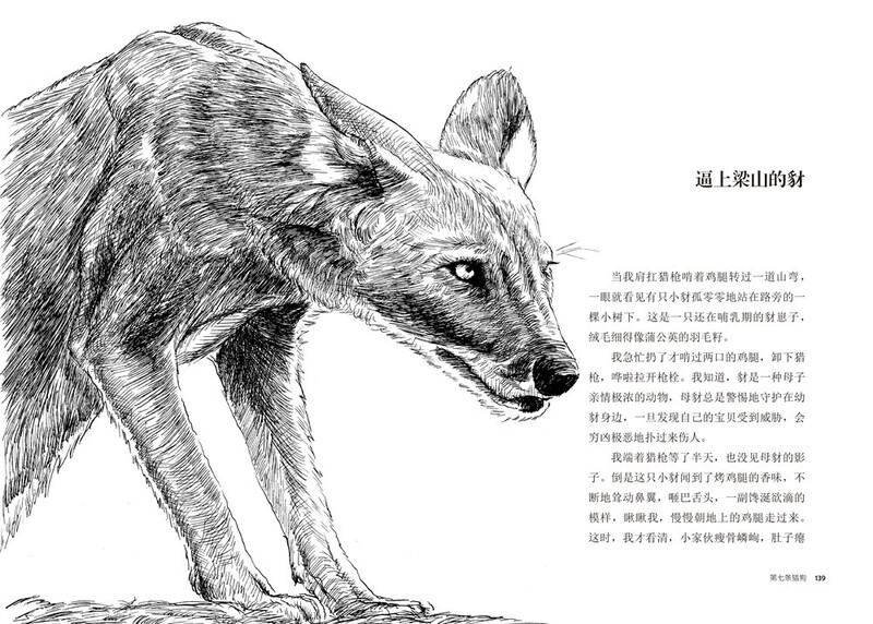 The seventh hunting dog, new edition, animal novel king Shen Shixi's collection of books, first, second and third grade extracurricular reading books, children's story books, genuine books