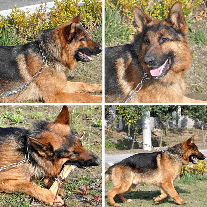 Chukchi (CHUKCHI) Dog P Chain Stainless Steel Pet Chain Retractable Dog Collar German Shepherd Golden Retriever for Medium and Large Dogs Stainless Steel Smooth 70cm*4mm Large Dogs