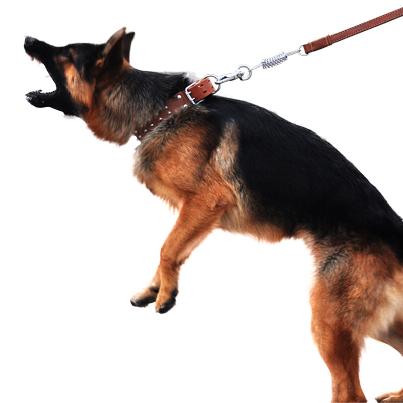 Chukchi (CHUKCHI) large dog cowhide collar cowhide collar suitable for Golden Retriever German Shepherd Tibetan Mastiff without damaging the hair XC-028 drum nails L-large dogs