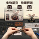 
ROKR Intelligent Control Rhino Tortoise Metal Assembly Model Toys Mechanical Beetle Insect Building Blocks Graduation Birthday Gift Boy