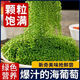 盐渍海葡萄泡发食用 儿童海藻菜海洋蔬菜海草 海葡萄100g*3袋【送芥末酱油】