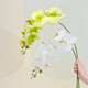 Flower e-flow Phalaenopsis artificial flower fake flower table decoration light luxury high-end flower arrangement dining table floral decoration home decoration 2 smoke green stems + narrow mouth flat bottle main picture style