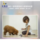
Kabudou smart playmate robot mobile camera home girl children remote control remote mobile phone family cat EBO SE-standard version