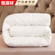 Hengyuanxiang New Zealand wool winter quilt 7 Jin [Jin equals 0.5 kg] 180*200cm