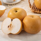 Good Farmer Laiyang Qiuyue Pear Authentic Large Fruit Net Weight 4.5 Jin Jin equals 0.5 kg 6-9 pieces Fresh Fruit Gift Box