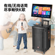 Manlong square dance audio high-power wireless microphone Bluetooth musical instrument Internet celebrity live broadcast mobile outdoor high-end karaoke machine singing trolley speaker W-12S audio dual microphone + gift package