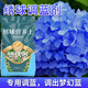 Devodo hydrangea special plant nutrient soil 15L + fertilizer gardening potted planting flower soil organic matrix rice husk soil