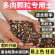 Flower Master Succulent Nutritional Soil Special Granular Soil Succulent Soil Potted Planting Soil for Seedlings and Old Piles Breathable Soil Luxurious Succulent Soil 5Jin Jin is equal to 0.5kg, universal for seedlings.