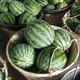 Shouhe crunchy type 8424 watermelon seeds, early mature, thin-skinned, summer and autumn seeds, 8424 watermelon seeds, 40 seeds + 20 seedlings