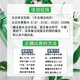 佩枪朱丽叶（Juliette has a gun）隐衫之欲复仇女神又一乌木不是非香水白女巫姐香水小样青梨 其他 隐衫之欲